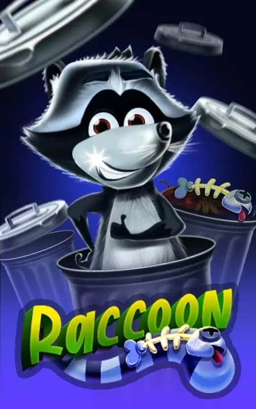 Raccoon